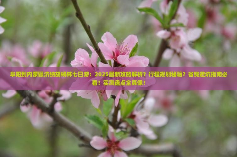 阜阳到内蒙额济纳胡杨林七日游