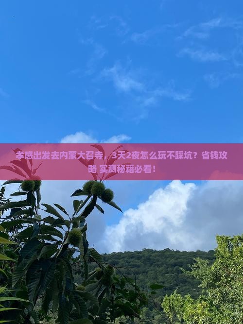 孝感到内蒙大召寺哪里玩