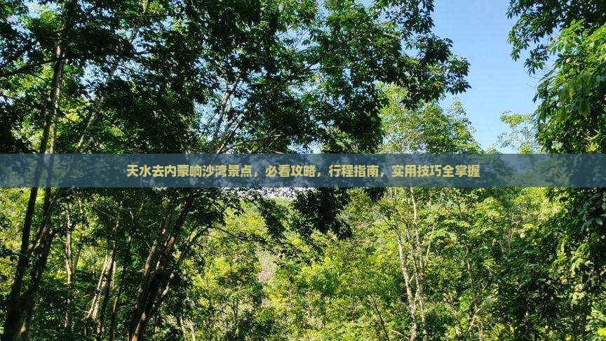 天水去内蒙响沙湾景点
