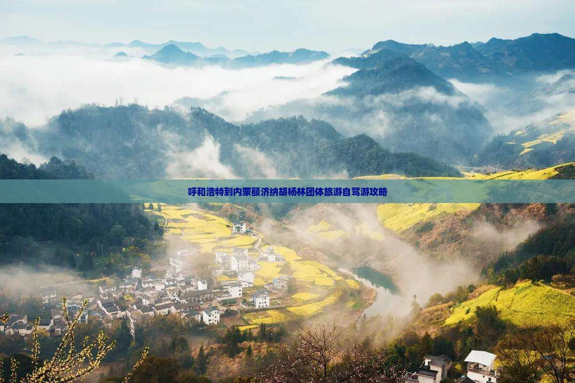 呼和浩特到内蒙额济纳胡杨林团体旅游