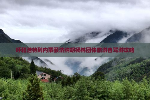 呼和浩特到内蒙额济纳胡杨林团体旅游