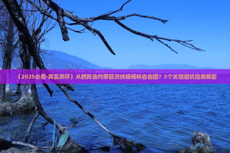 鹤岗到内蒙额济纳胡杨林自由团