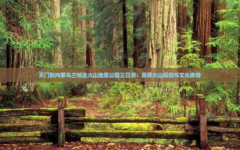 天门到内蒙乌兰哈达火山地质公园三日游