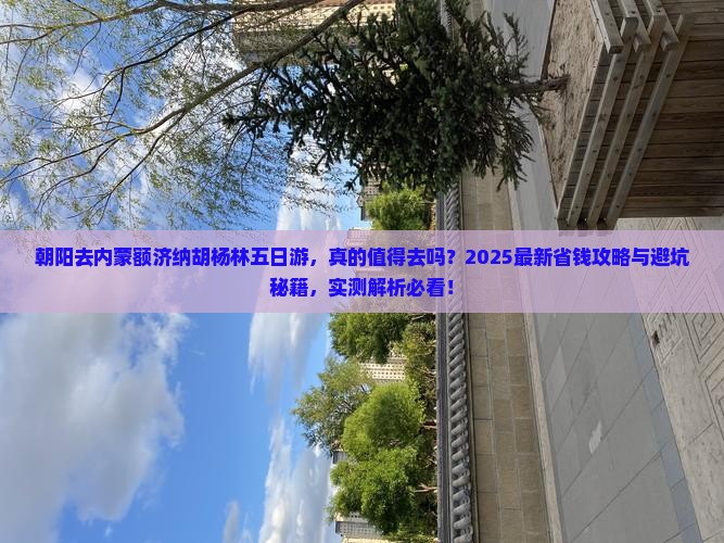 朝阳去内蒙额济纳胡杨林五日游