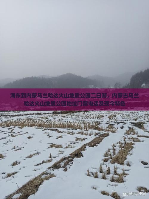 海东到内蒙乌兰哈达火山地质公园二日游