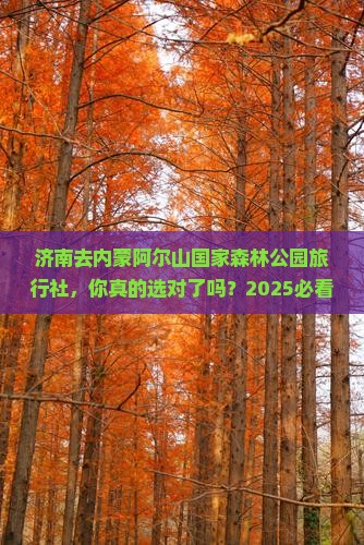 济南去内蒙阿尔山国家森林公园旅行社 济南去内蒙阿尔山国家森林公园旅行社