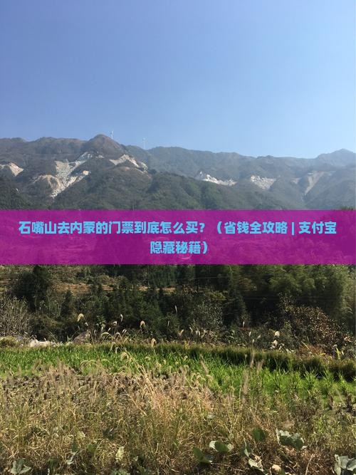 石嘴山到内蒙门票