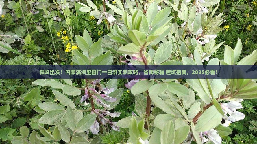 铁岭去内蒙满洲里国门景区一日游