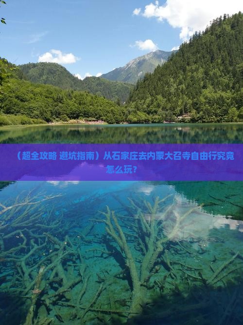 石家庄到内蒙大召寺自由团