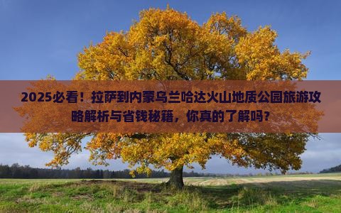 拉萨到内蒙乌兰哈达火山地质公园旅游
