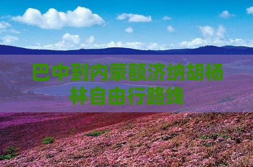 巴中到内蒙额济纳胡杨林自由行
