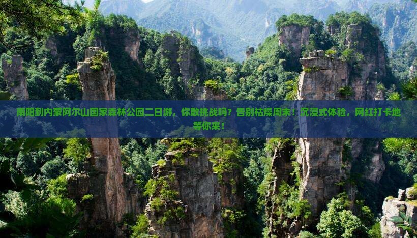 南阳到内蒙阿尔山国家森林公园二日游