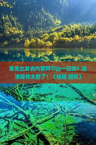 莱芜到内蒙阿尔山国家森林公园一日游