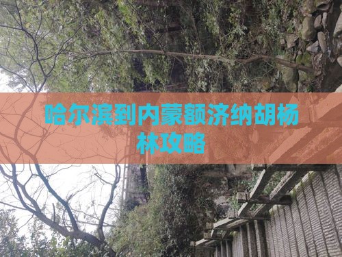 哈尔滨到内蒙额济纳胡杨林攻略