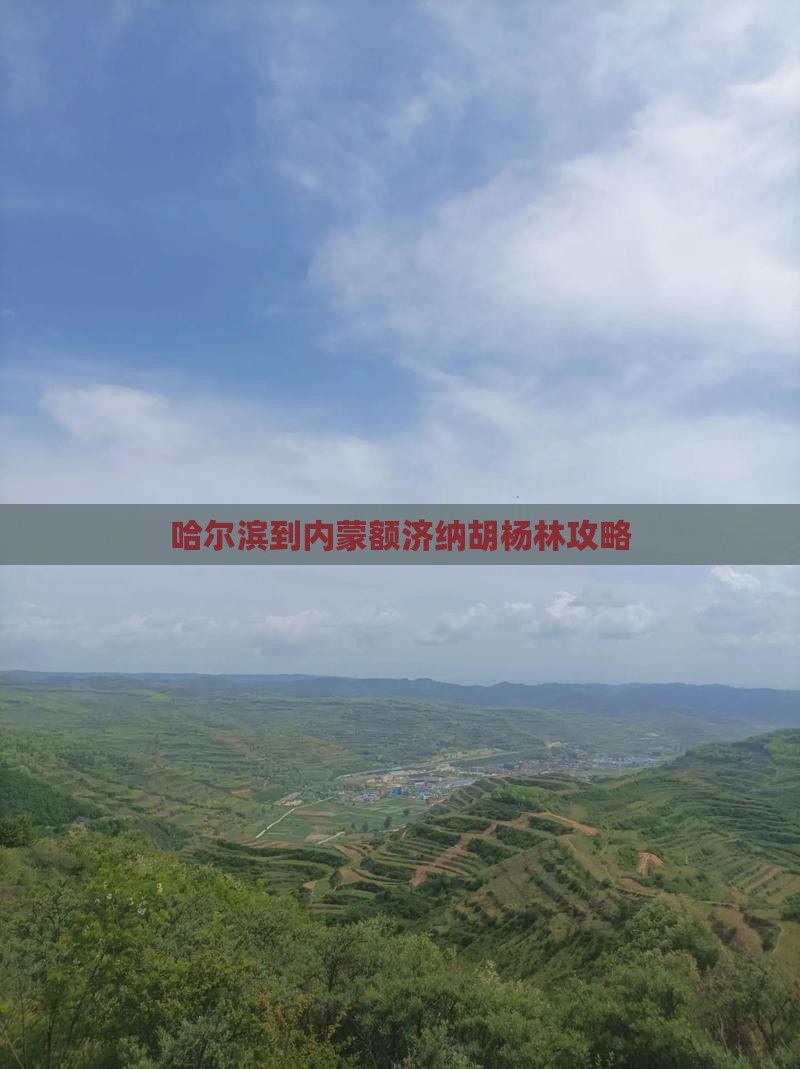 哈尔滨到内蒙额济纳胡杨林攻略