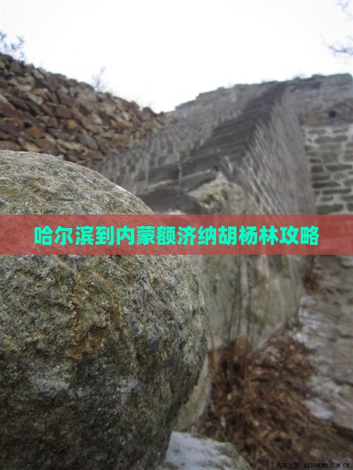 哈尔滨到内蒙额济纳胡杨林攻略