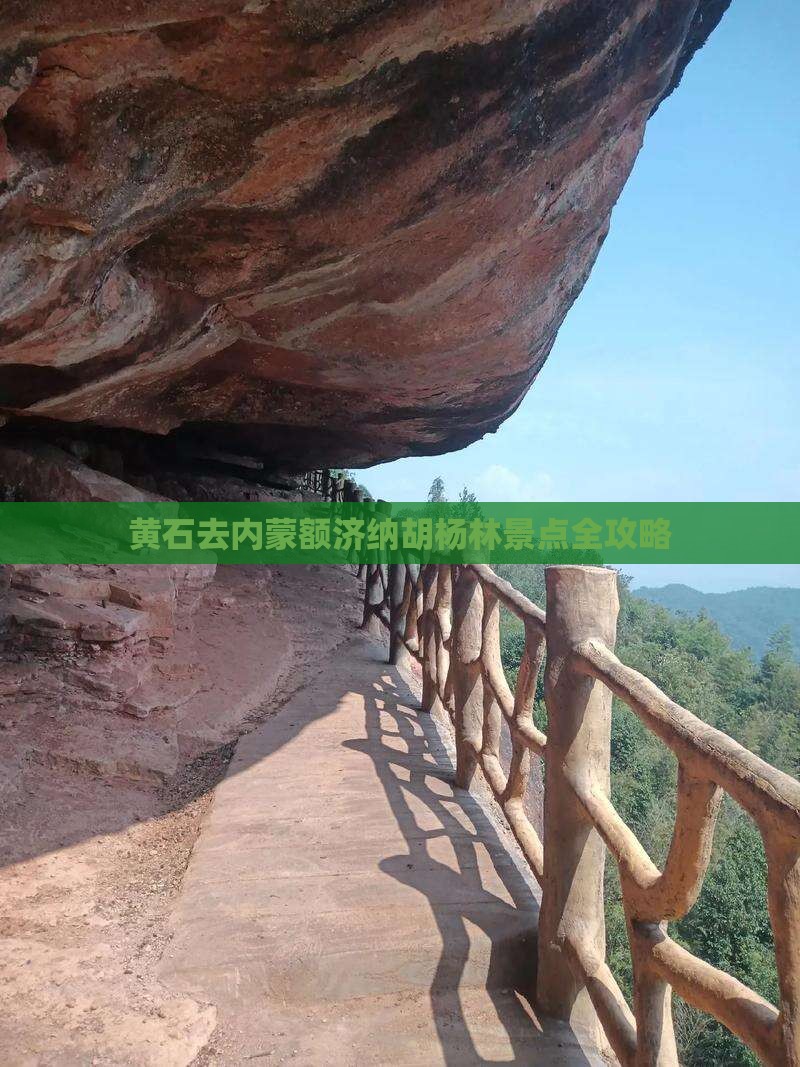 黄石去内蒙额济纳胡杨林景点