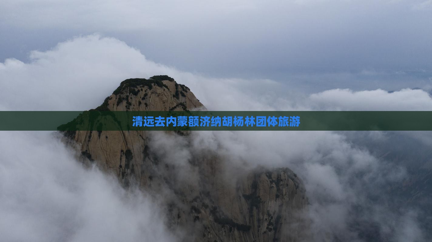清远去内蒙额济纳胡杨林团体旅游