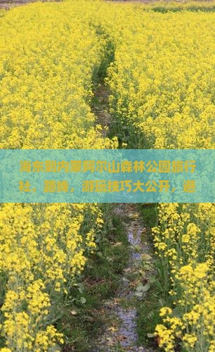 海东到内蒙阿尔山国家森林公园旅行社