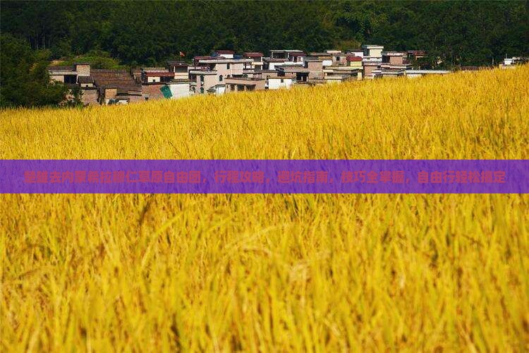 楚雄去内蒙希拉穆仁草原自由团