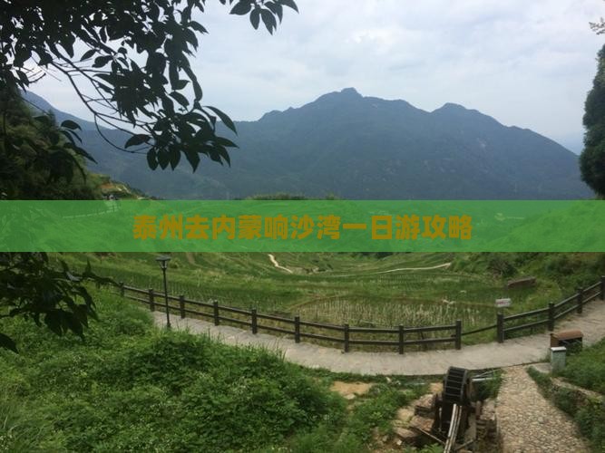 泰州去内蒙响沙湾一日游