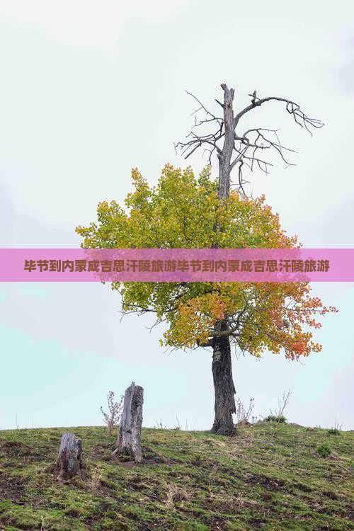 毕节到内蒙成吉思汗陵旅游