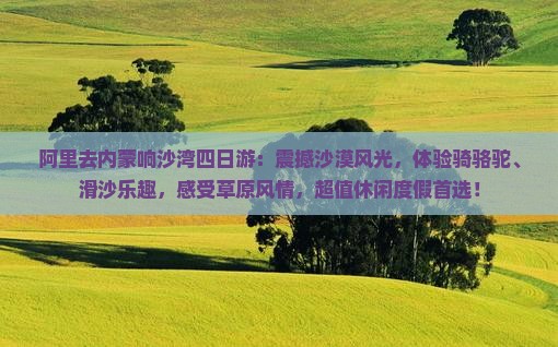 阿里去内蒙响沙湾四日游