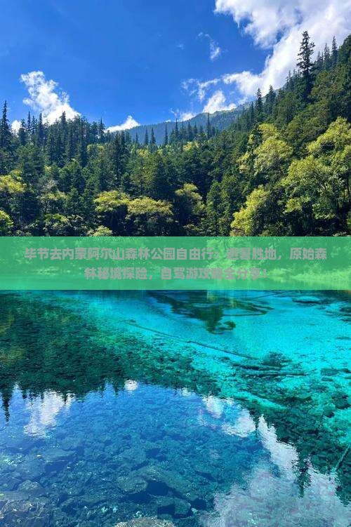 毕节去内蒙阿尔山国家森林公园自由行