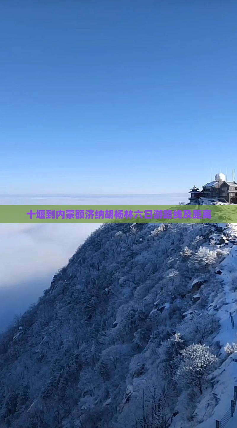 十堰到内蒙额济纳胡杨林六日游