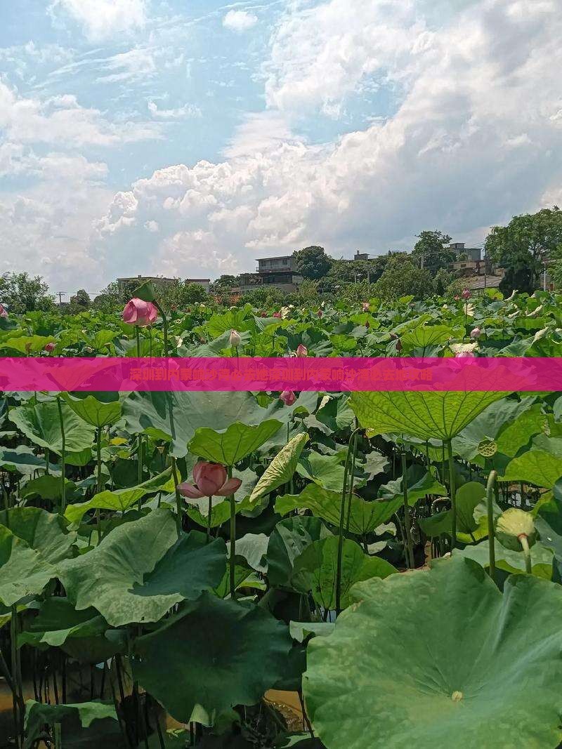 深圳到内蒙响沙湾必去地