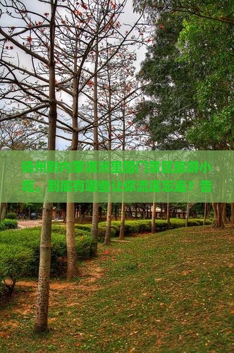 扬州到内蒙满洲里国门景区旅游小吃