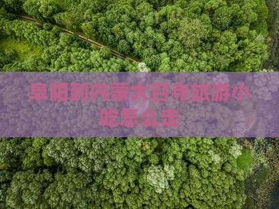 阜阳到内蒙大召寺旅游小吃