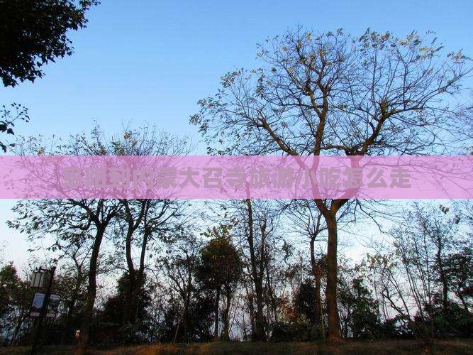 阜阳到内蒙大召寺旅游小吃