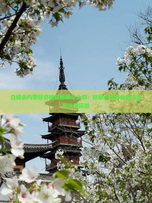 白城去内蒙额济纳胡杨林个人游
