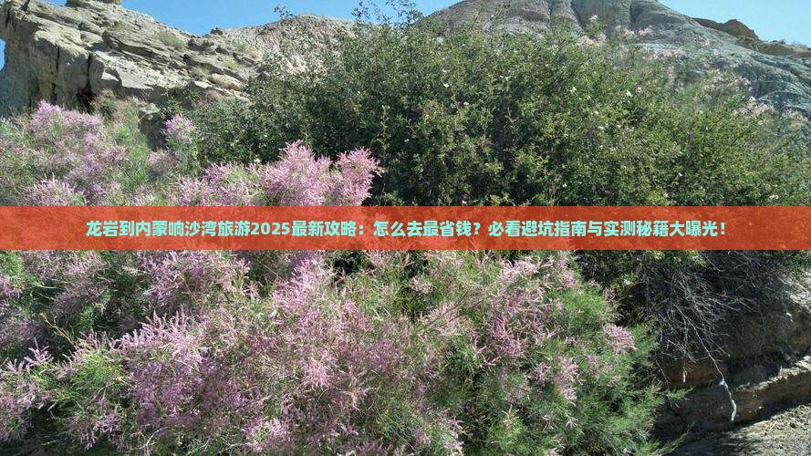 龙岩到内蒙响沙湾旅游