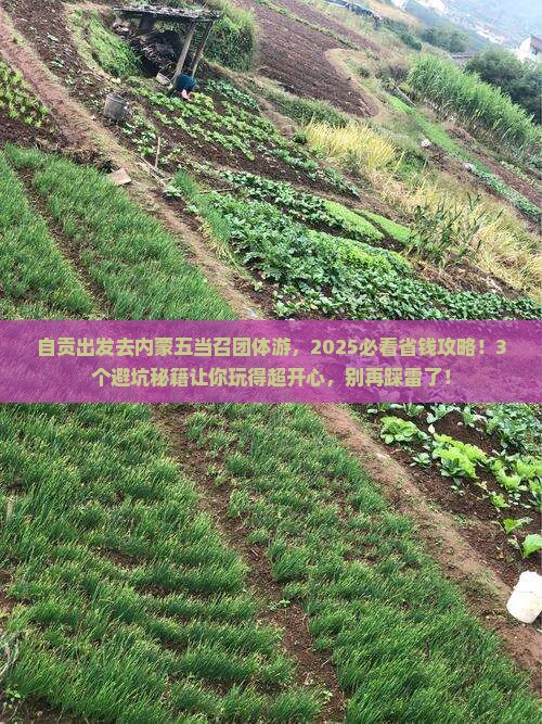 自贡去内蒙五当召团体旅游