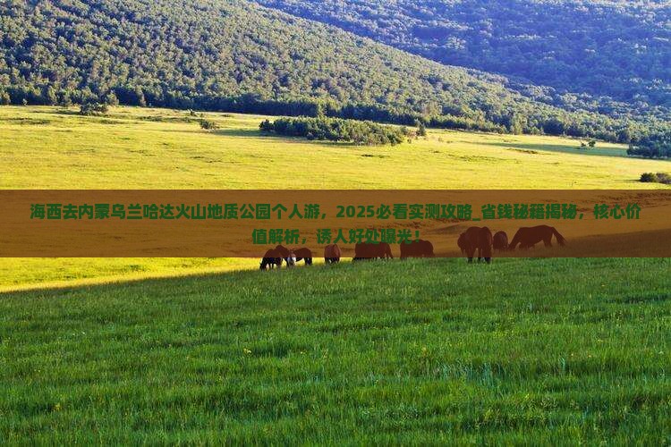 海西去内蒙乌兰哈达火山地质公园个人游