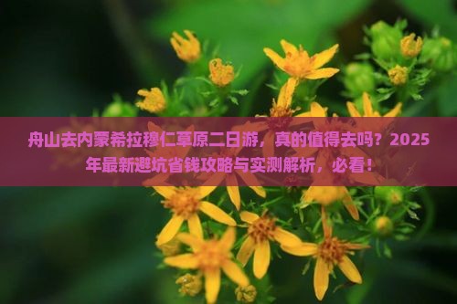 舟山去内蒙希拉穆仁草原二日游