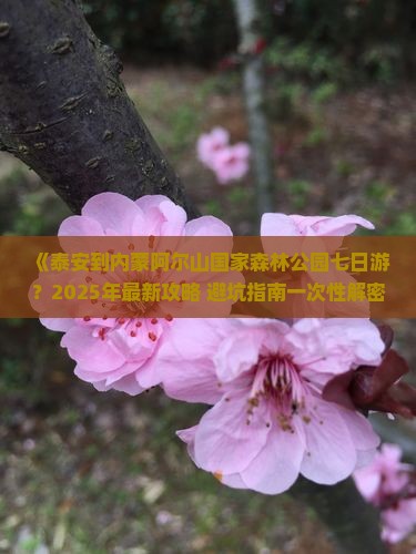 泰安到内蒙阿尔山国家森林公园七日游