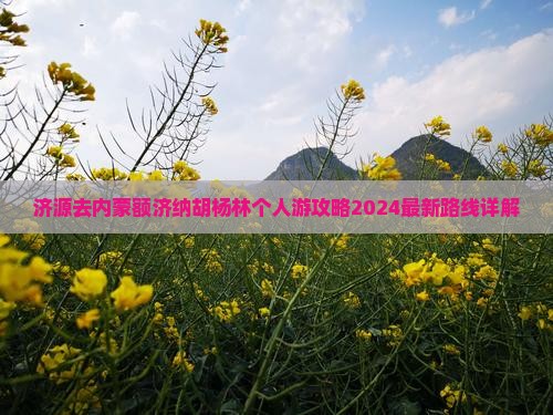 济源去内蒙额济纳胡杨林个人游