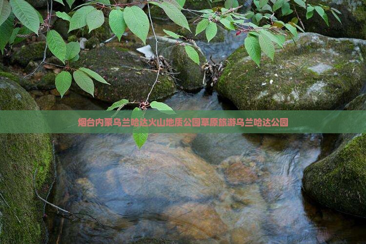 烟台去内蒙乌兰哈达火山地质公园旅行社