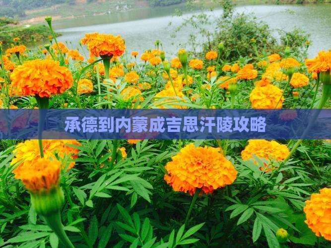 承德到内蒙成吉思汗陵攻略