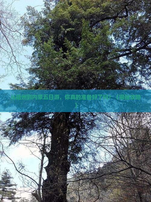 梧州到内蒙五日游