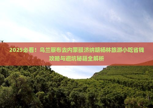 乌兰察布去内蒙额济纳胡杨林旅游小吃