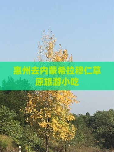惠州去内蒙希拉穆仁草原旅游小吃