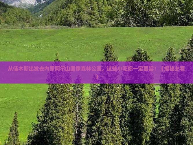 佳木斯去内蒙阿尔山国家森林公园旅游小吃