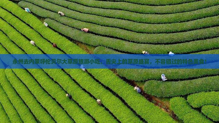 永州去内蒙呼伦贝尔大草原旅游小吃 永州去内蒙呼伦贝尔大草原旅游小吃
