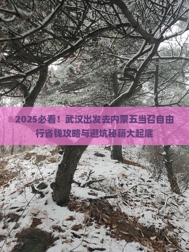 武汉去内蒙五当召自由团