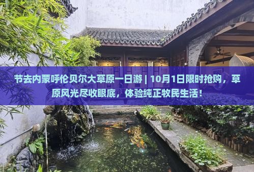 国庆节去内蒙呼伦贝尔大草原一日游