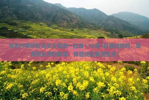 国庆节去内蒙呼伦贝尔大草原一日游